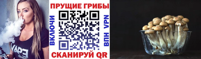 Галлюциногенные грибы Magic Shrooms  Купить где  Саки 